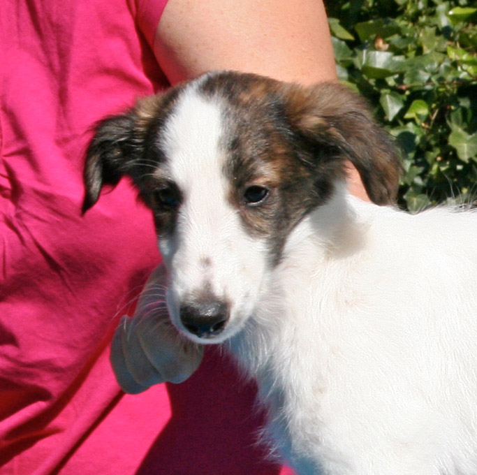 Surf Spots - Boy 1 Sleeping